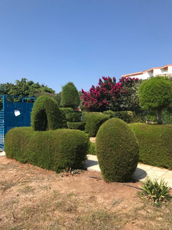 2 Bedroom Apartment-Mediterranean Type Paphos Exterior photo